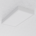 ORTA R 600x300 (nom. ) Surface Mounted Opalescent 180mA Fixed Output 3500K Ra90