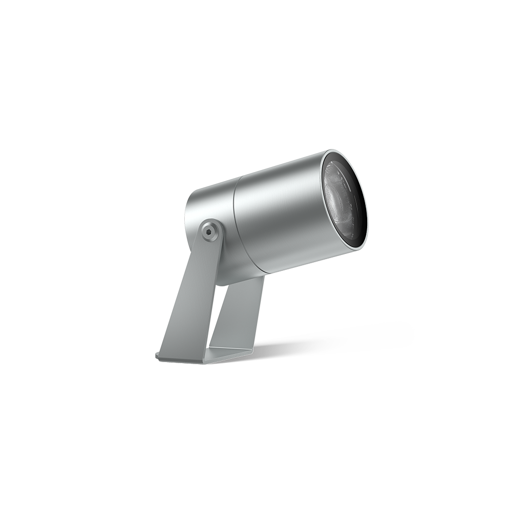 Ray Gun Family