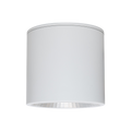 Susa Narrow Beam 700mA Fixed Output 4000K Ra80 White Housing Faceted Reflector