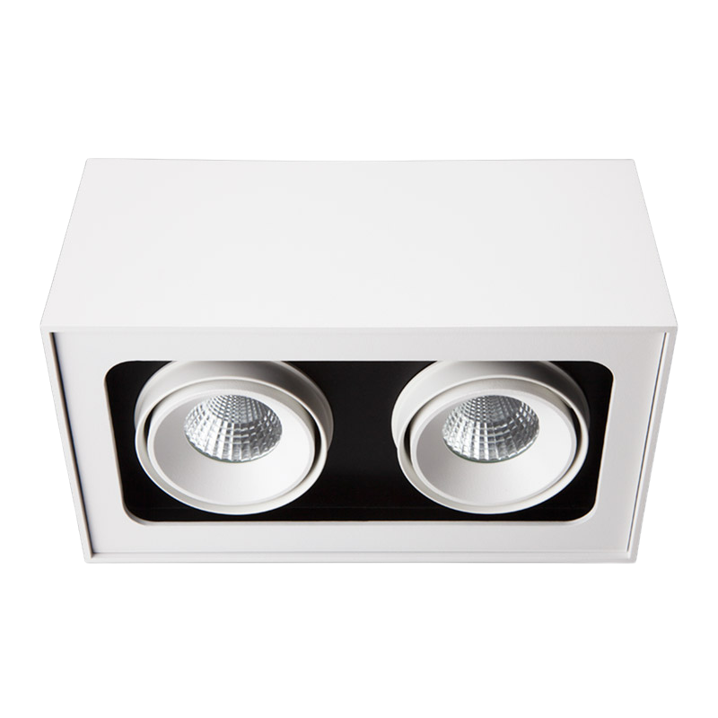 Venice 2 CBV Box 2-Element VWFL Optic Phase-Cut Dimmable 3000K Ra90 White/White