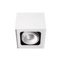 Venice 6 CBV Box 1-Element VWFL Optic Dim-To-Warm White/White